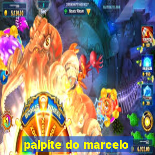 palpite do marcelo